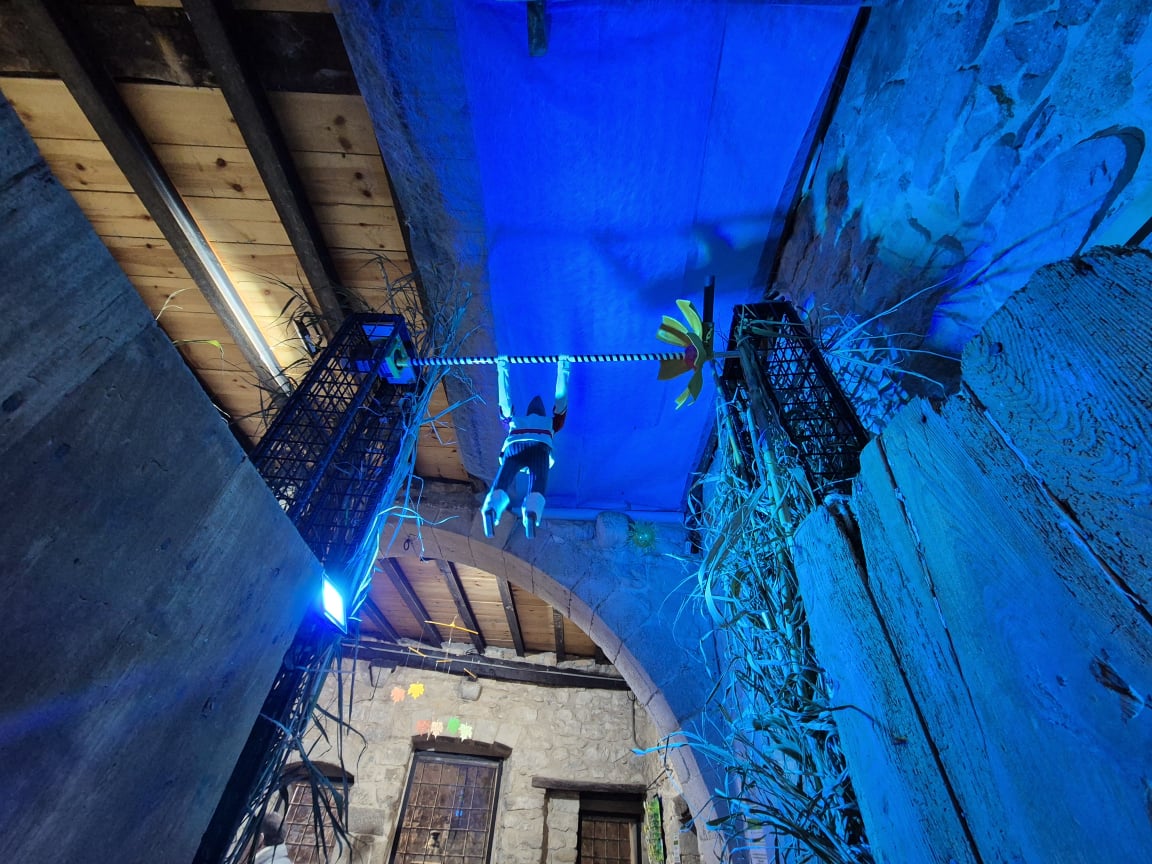 VISTA POR LA PUERTA TARLA TEMPS DE FLORS